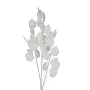 Fleur artificielle blanche h105cm - Beckia