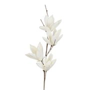 Fleur magnolia blanc cassé h115cm eva+fil de fer