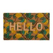 Paillasson "hello" en fibre de coco 73x43cm - Medi