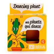 Pot d8cm avec coupelle plante qui danse