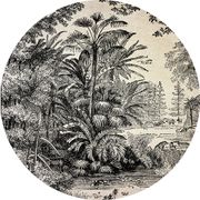 Set de table vinyle jungle d35cm